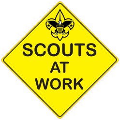 Scouts at Work